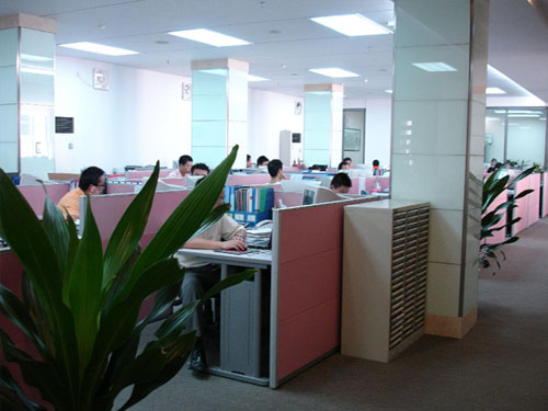Company Environment